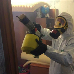 Уничтожение клопов в квартире. Саввинская Слобода